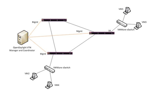 Graphics/VTN_Topology.png