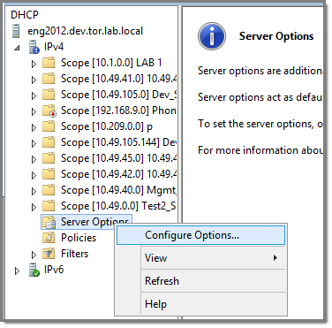 Graphics/DHCP_ConfigureOptions.png