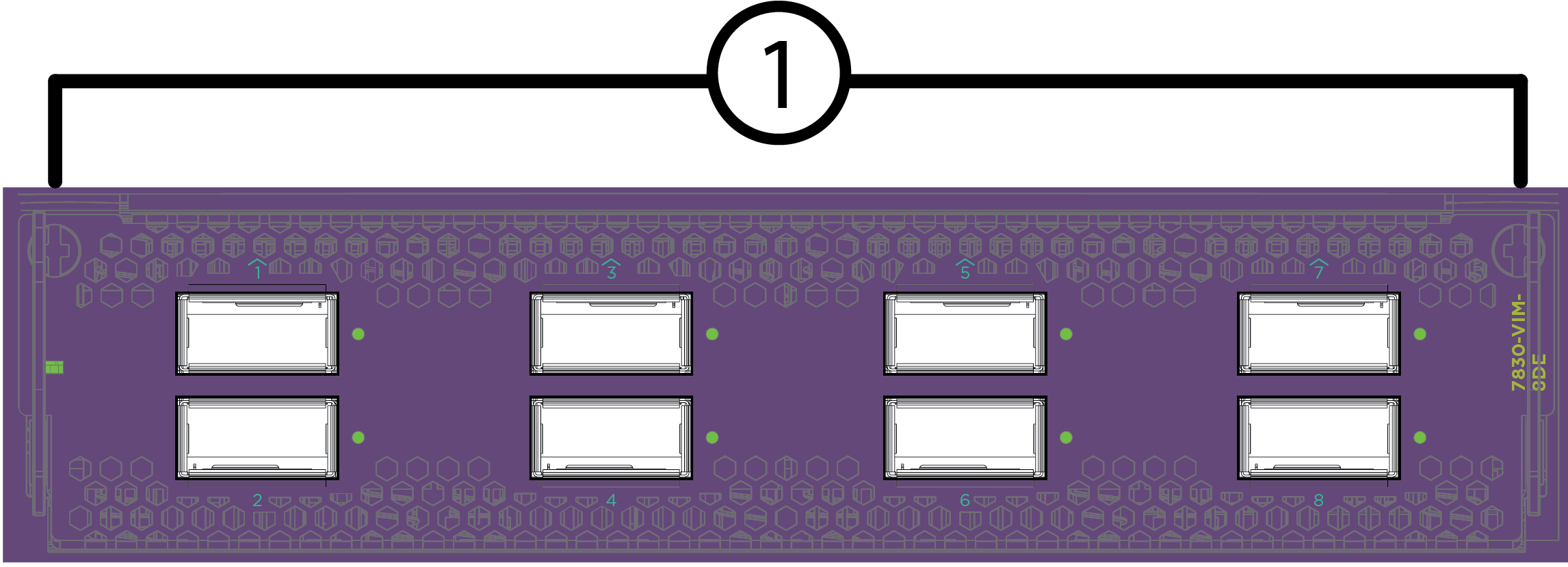 VIM Module Inserted in Slot