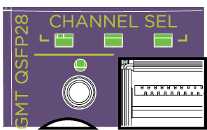 Location of the QSFP-DD Sub-channel Selector Button and LEDs.