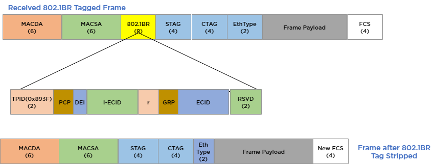 802.1BR Header before and after tag stripping
