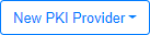 new PKI provider icon