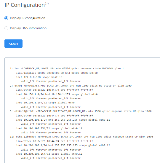 IPconfig tool