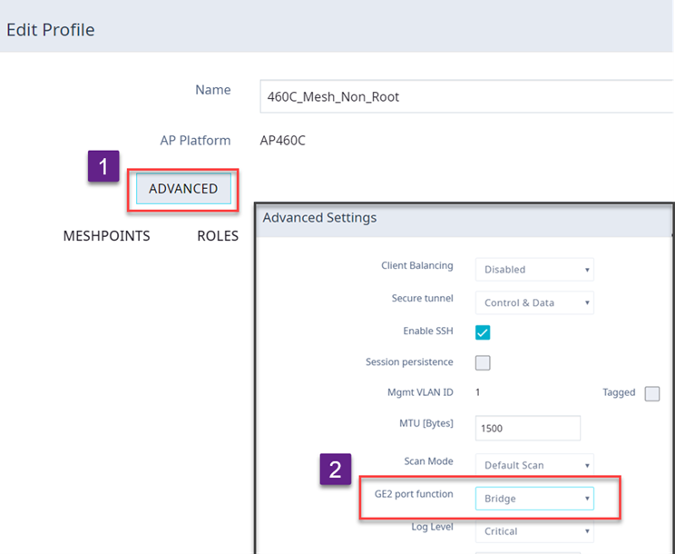 Configuration Profile Advanced Settings - Transparent Bridge