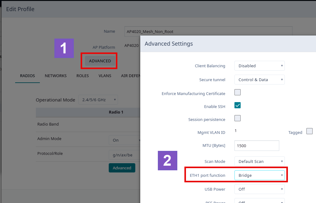 Configuration Profile Advanced Settings - Transparent Bridge