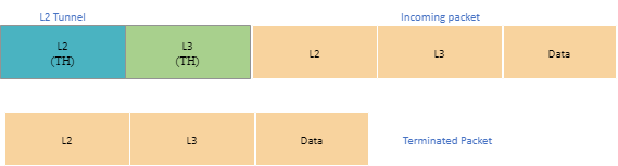 L2 tunnel termination