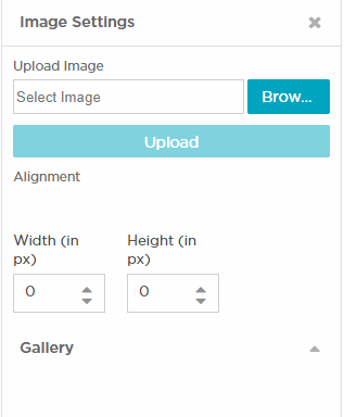 Image Widget Settings