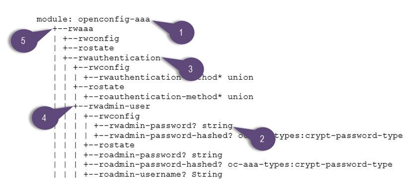 YANG Data Model Components