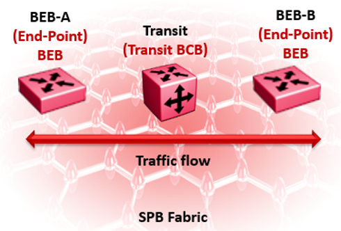 Two endpoint BEBs connect through a transit BCB.