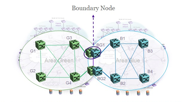 Boundary Node in Multi-area SPB Network