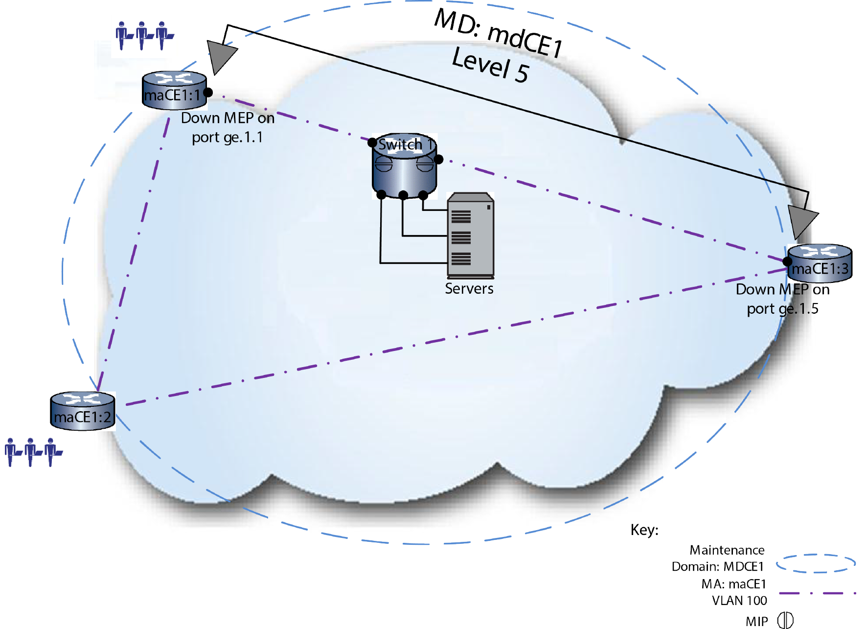 Graphics/CFM_MIP_Overview.png