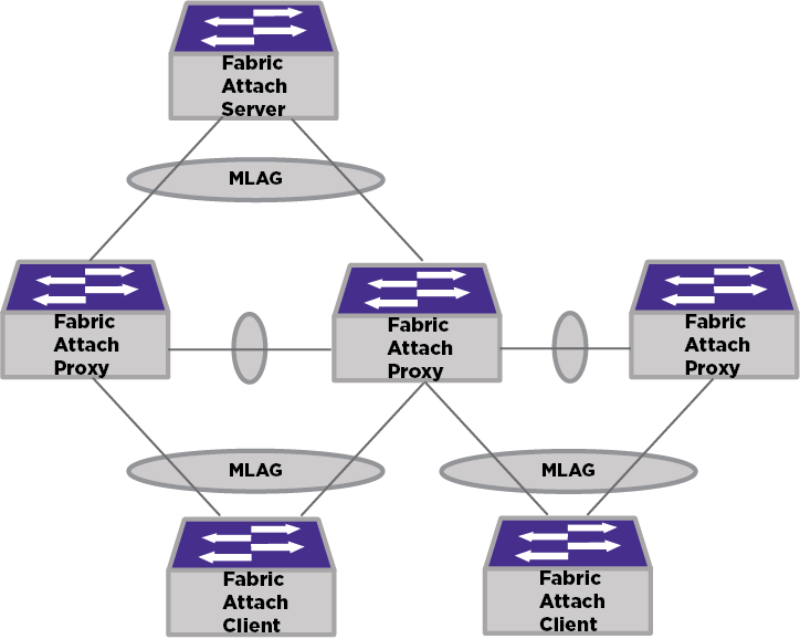 Fabric Attach server with proxy and client connections and W-MLAG flow