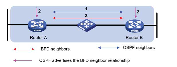 Graphics/bfd_for_ospf.png