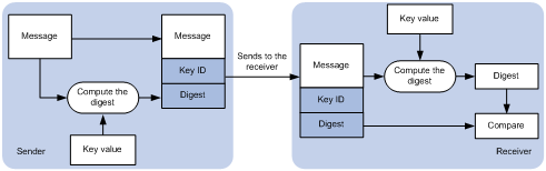 Displays the path of the key value from the sender to the receiver