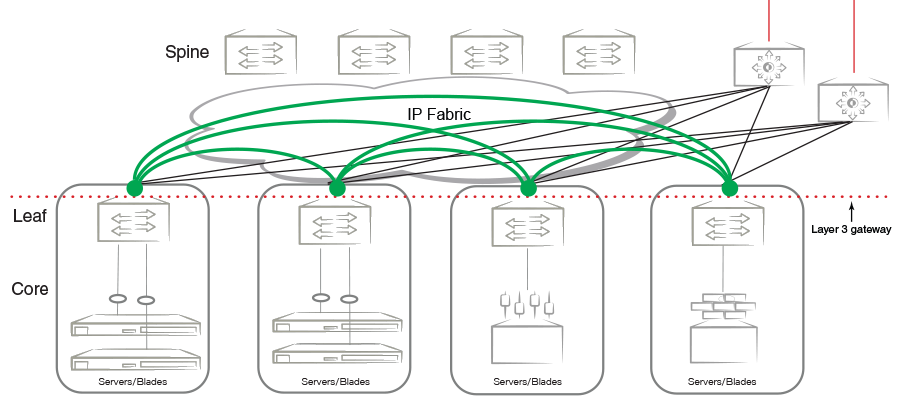 VXLAN connectivity in an IP fabric