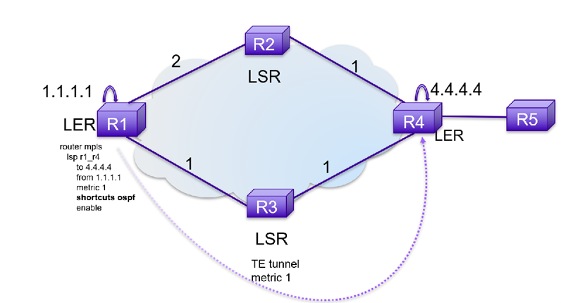 OSPF shortcuts