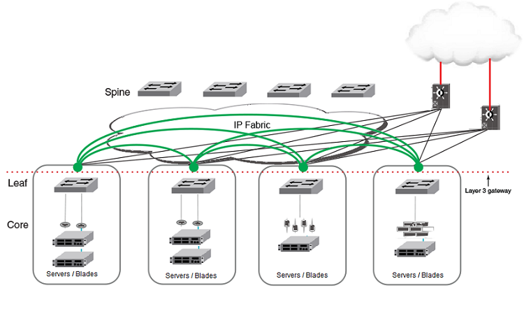 VxLAN connectivity in an IP fabric